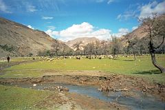 29 Beautiful Lunch Spot On Way to Kharta Tibet